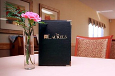Laurel Health Care Company